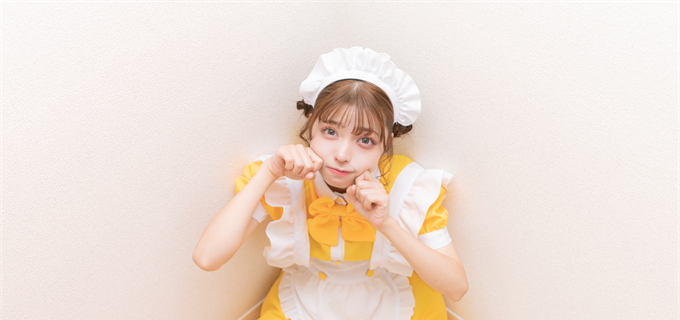 ハワード=シェス・モデル