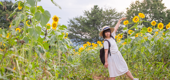 ヘクシャー=オリーンの定理